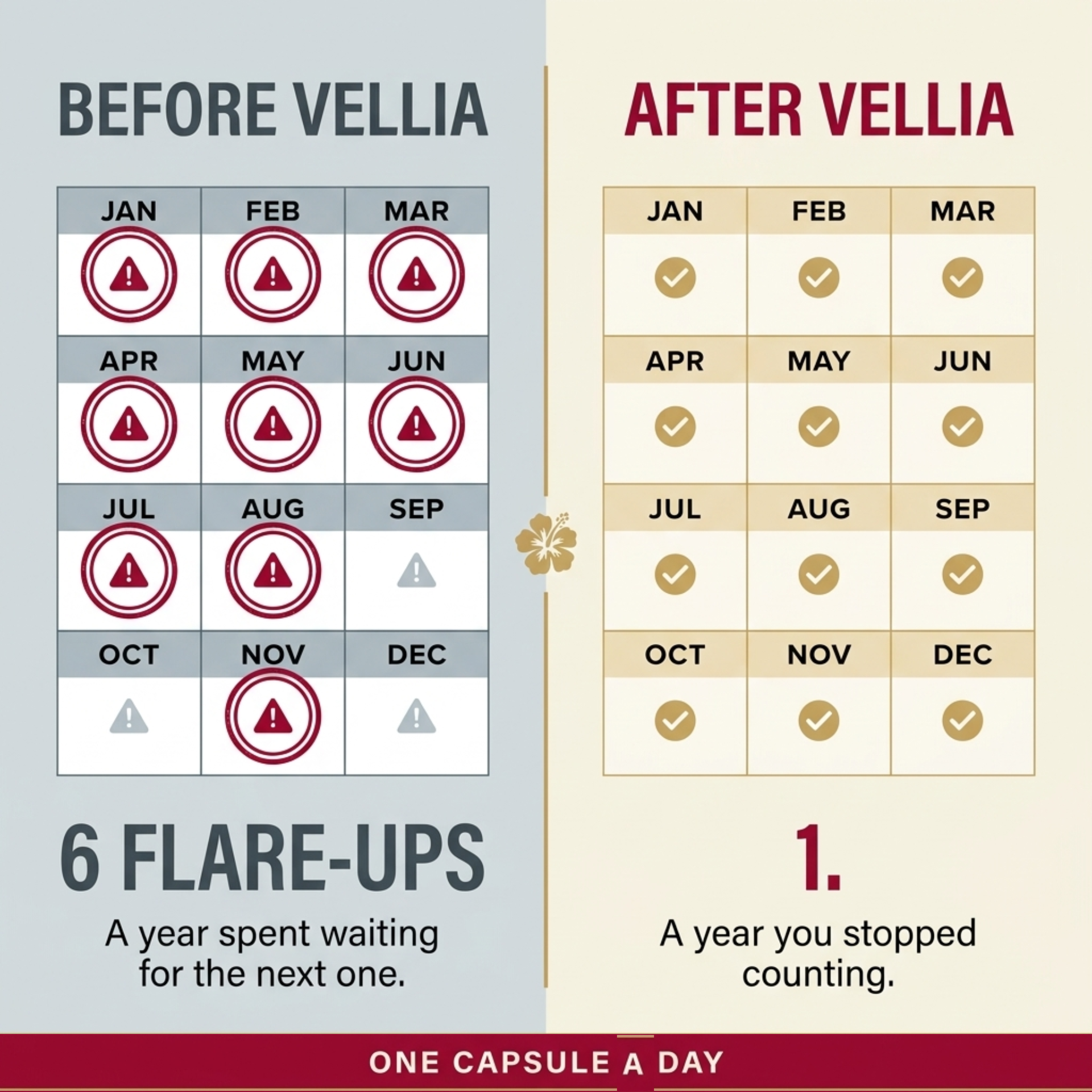 Vellia Bladder Wall Support