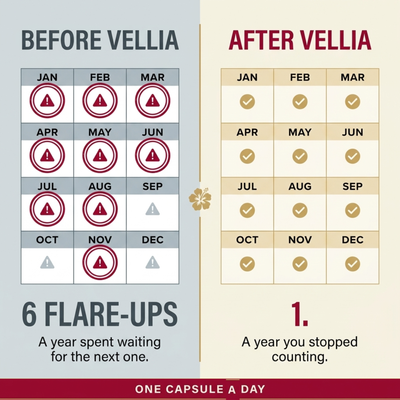 Vellia Bladder Wall Support
